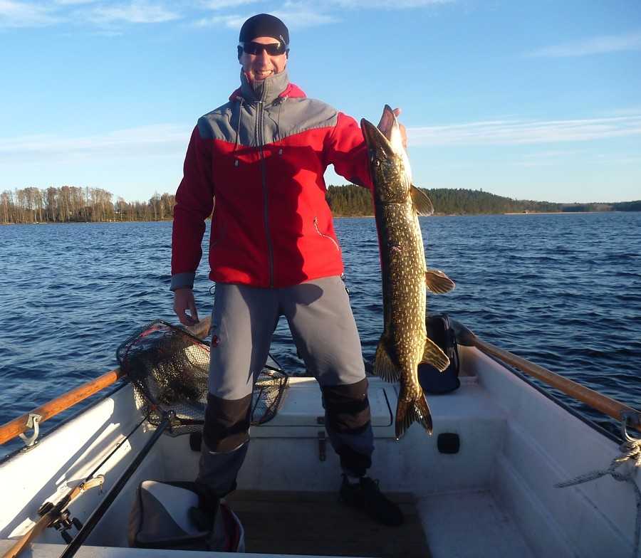 jak łowić szczupaki